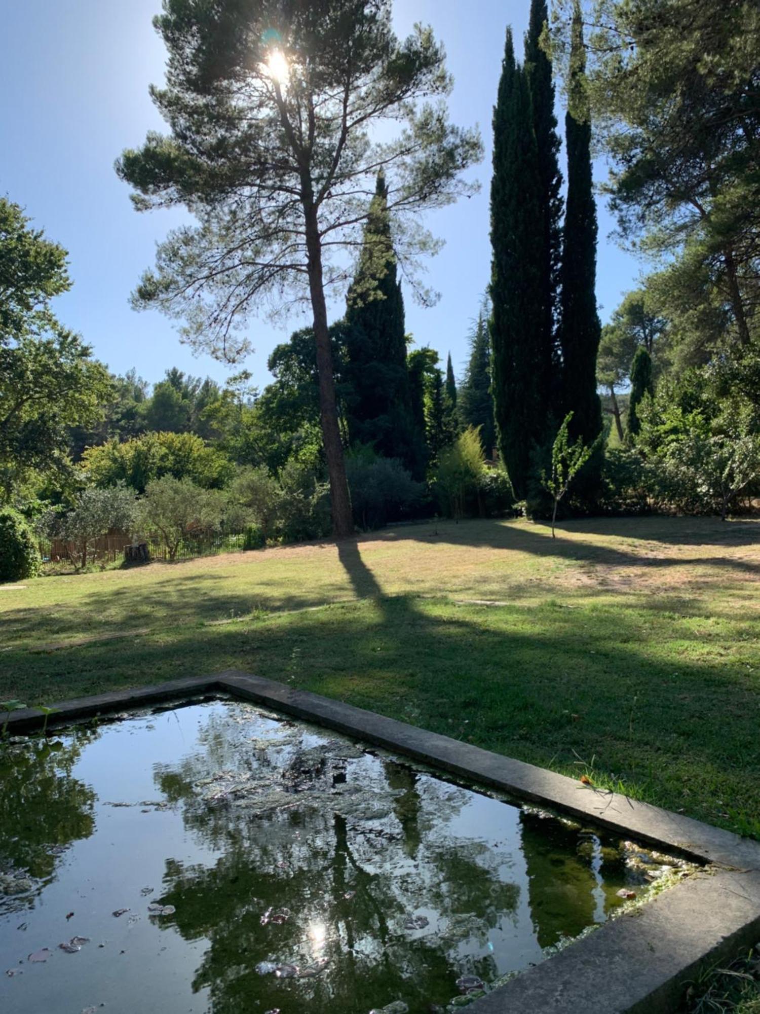 Cabane De La Leque Fontvieille Esterno foto