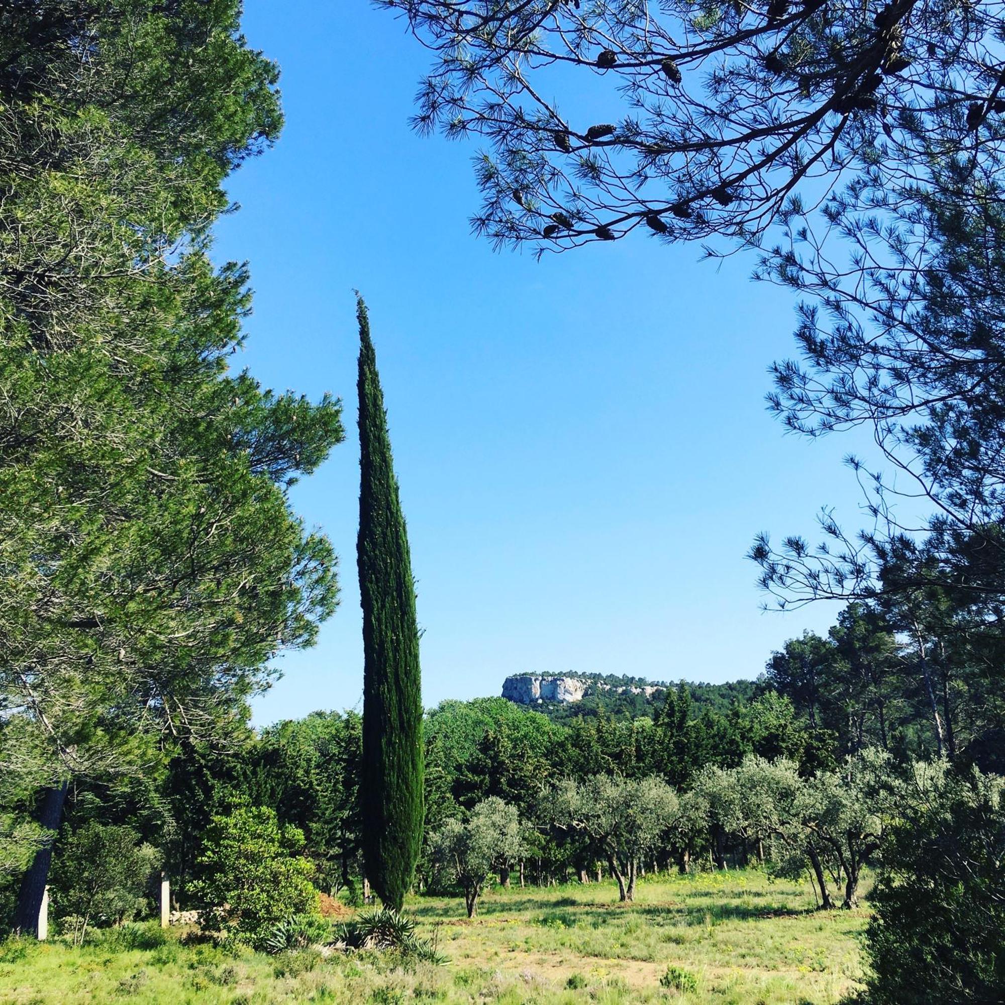 Cabane De La Leque Fontvieille Esterno foto
