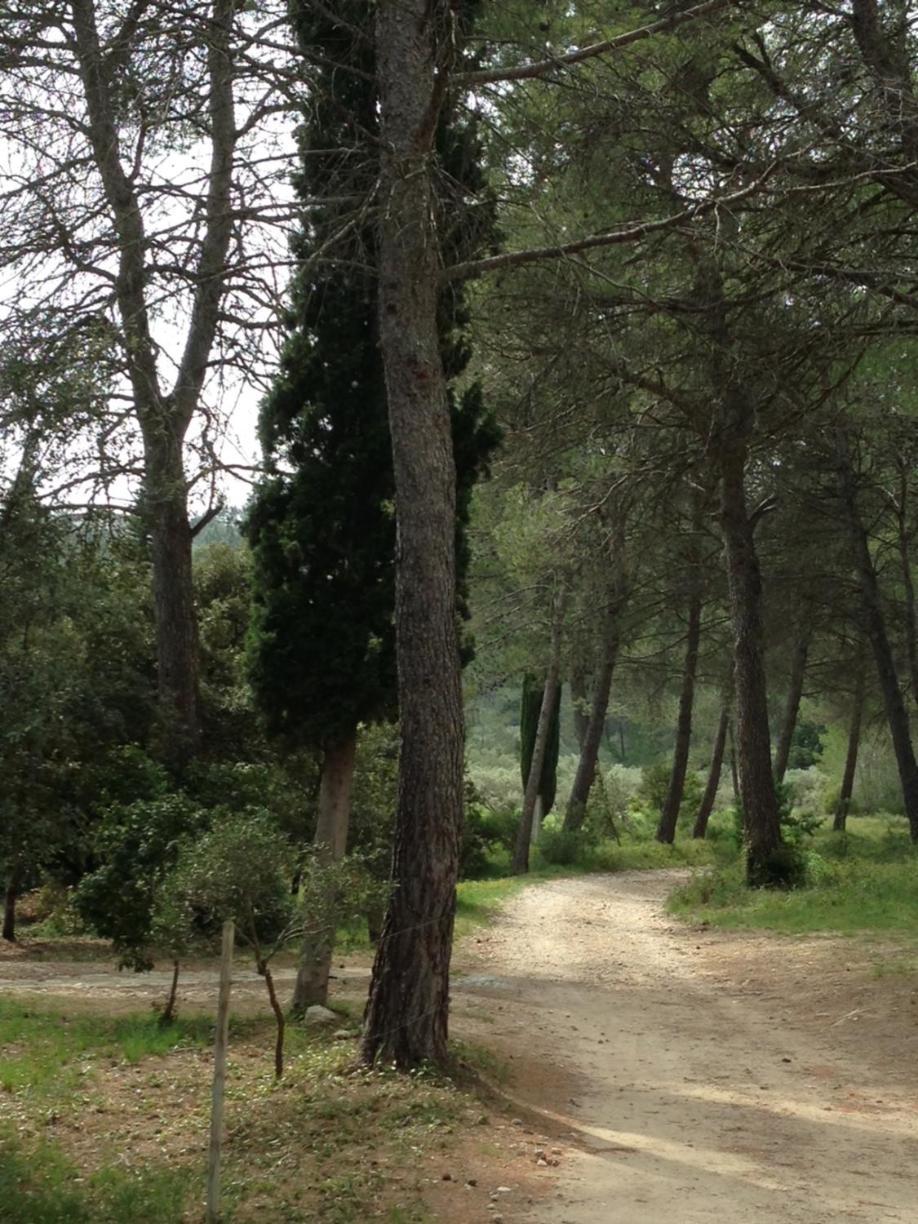 Cabane De La Leque Fontvieille Esterno foto