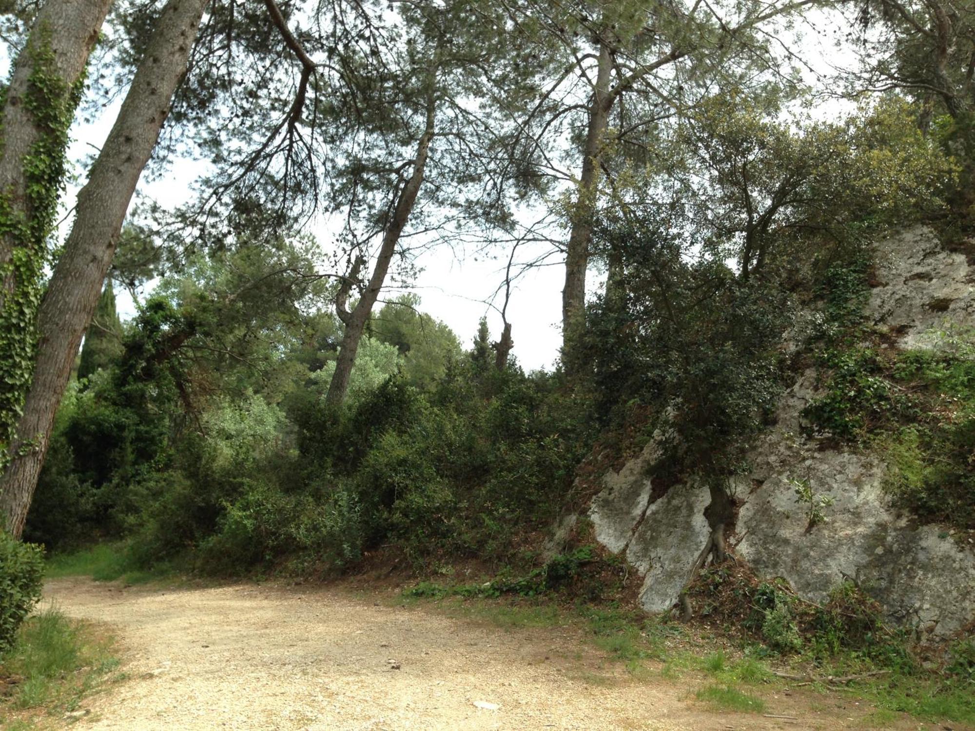 Cabane De La Leque Fontvieille Esterno foto