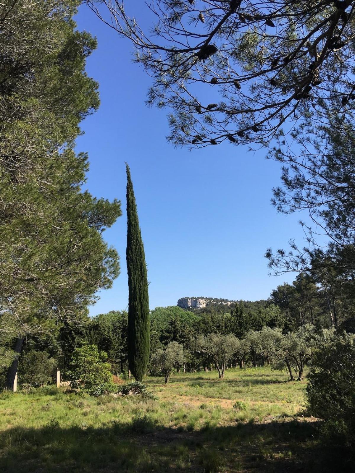 Cabane De La Leque Fontvieille Esterno foto