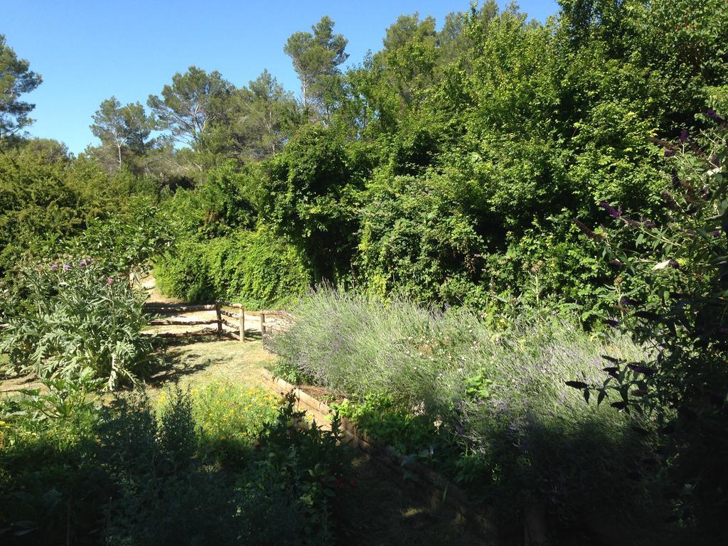Cabane De La Leque Fontvieille Esterno foto