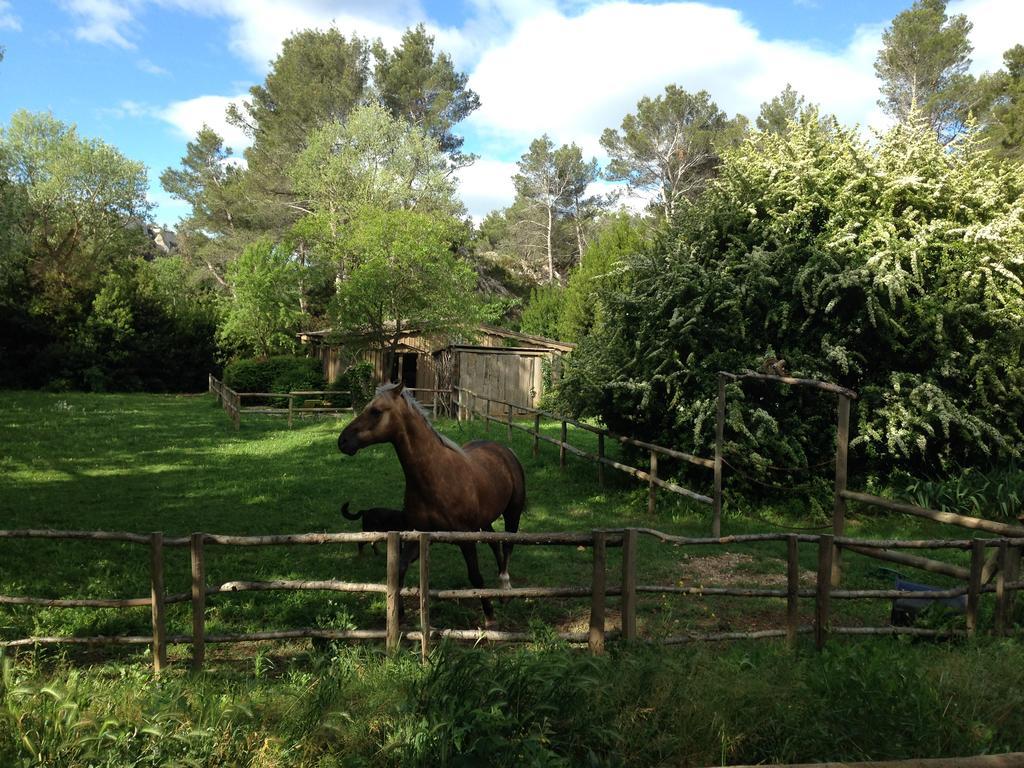 Cabane De La Leque Fontvieille Esterno foto