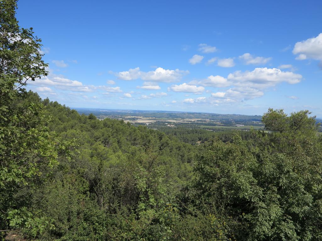 Cabane De La Leque Fontvieille Esterno foto